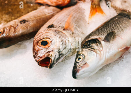 Frische Fische und Meeresfrüchte auf dem Eis im Fischmarkt Stockfoto