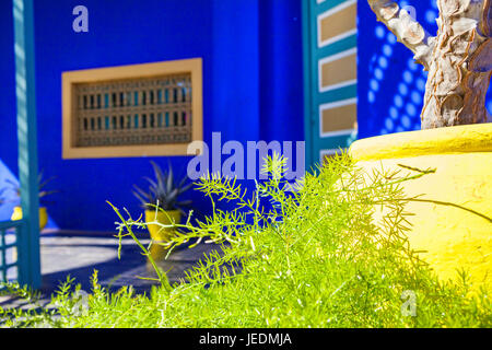 Jardin Majorelle - Majorelle Gärten, Marrakesch, Marokko Stockfoto