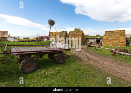 Heuhaufen und landwirtschaftliche Szene im Dorf Bokdajeni, Georgien, Kaukasus. Stockfoto