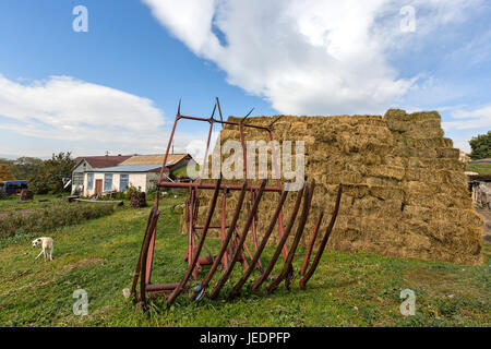 Heuhaufen und landwirtschaftliche Szene im Dorf Bokdajeni, Georgien, Kaukasus. Stockfoto