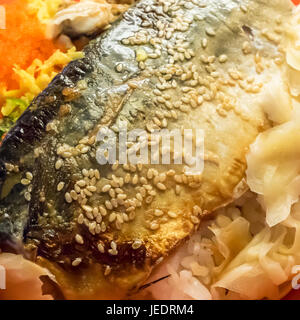 Die Nahaufnahme von köstlichen gegrillten saba Fisch Reis (japanisches Essen). Stockfoto