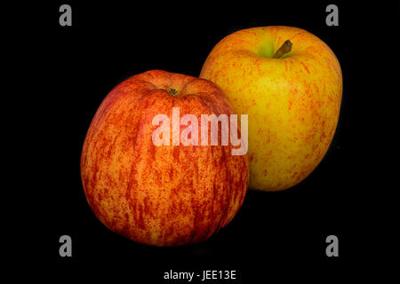 Still-Leben Farbe Makro Porträtgemälde von zwei Äpfel in rot und gelb auf schwarzem Hintergrund in phantastischen Realismus Vintage Malstil im gedämpften Ton Stockfoto