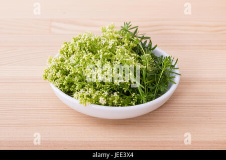 Porzellanschüssel mit Hedge Labkraut Stockfoto