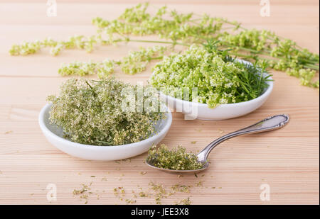 Frische und getrocknete Hedge-Labkraut Stockfoto