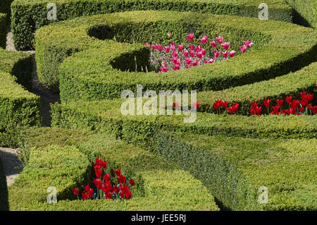 Frankreich, Schloss Villandry, Schloss-Garten, Stockfoto