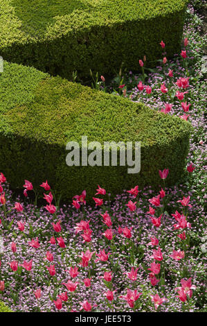 Frankreich, Schloss Villandry, Schloss-Garten, Stockfoto