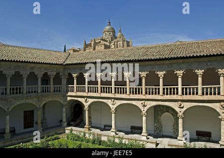 Kreuzgang Lesung Duenas, Innenhof, Salamanca, Kastilien und Leon, Spanien, Stockfoto