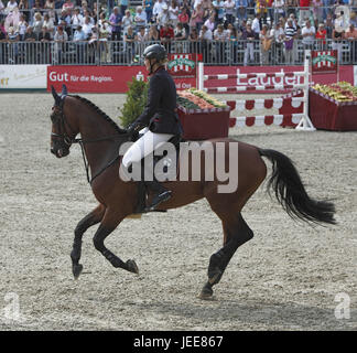 Pferderennen, Deutsche Meisterschaften springen und training im Jahr 2010 in Münster, Springreiterinnen, Denise Sulz auf Acara NH Stockfoto