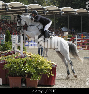 Pferderennen, Deutsche Meisterschaften springen und training im Jahr 2010 in Münster, Springreiterinnen, Pia-Luise aufrecht auf Chanel MCB Stockfoto