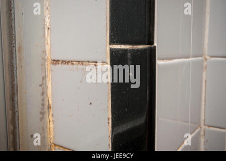 Eine beschädigte Badezimmerwand in New York zeigt das Wachstum von Schimmel auf Freitag, 23. Juni 2017. (© Richard B. Levine) Stockfoto