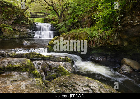 Wasserfall auf Dinas Felsen am Fluss Afon Sychryd in den Brecon Beacons in Wales Stockfoto