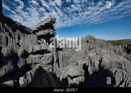 Der Blick von oben, Tsingy de Bemaraha Nationalpark, Madagaskar Stockfoto