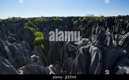 Der Blick von oben, Tsingy de Bemaraha Nationalpark, Madagaskar Stockfoto