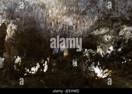 Carlsbad Caverns Felsformationen. New Mexico Stockfoto