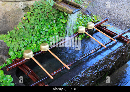 Chozuya Waschung Wasserbecken im Jindaiji Tempel in Chofu Stadt Tokio Japan Stockfoto