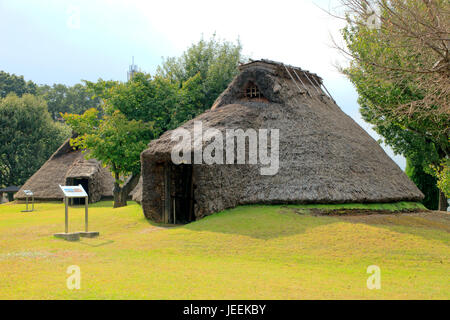 Restauriert alte Grubenhaus im Hon-Machida Iseki archäologischen Stätten in Machida Stadt Tokio Japan Stockfoto