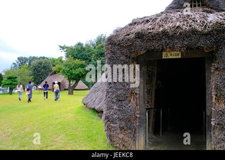 Restauriert alte Grubenhaus im Hon-Machida Iseki archäologischen Stätten in Machida Stadt Tokio Japan Stockfoto