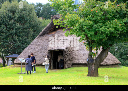Restauriert alte Grubenhaus im Hon-Machida Iseki archäologischen Stätten in Machida Stadt Tokio Japan Stockfoto