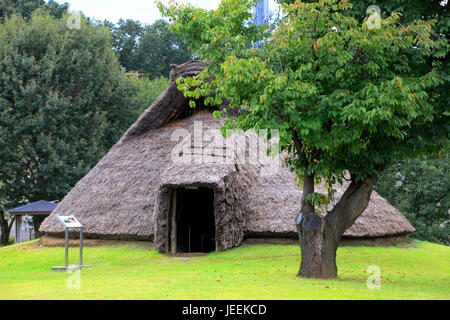 Restauriert alte Grubenhaus im Hon-Machida Iseki archäologischen Stätten in Machida Stadt Tokio Japan Stockfoto