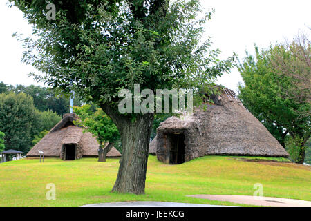 Restauriert alte Grubenhaus im Hon-Machida Iseki archäologischen Stätten in Machida Stadt Tokio Japan Stockfoto