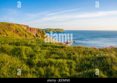 Südwestküste-Weg, Shippen Strand, äußere Hoffnung, Hoffnung Cove, South Hams, South Devon, England, UK Stockfoto