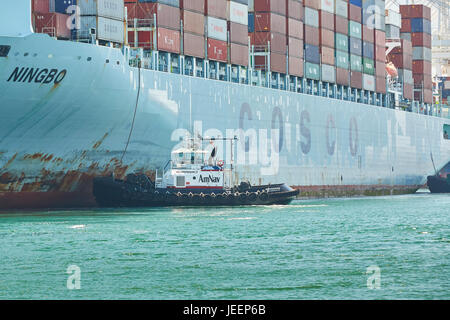 Das riesige COSCO Ningbo Containerschiff orientiert sich in Liegeplatz J270 am Pier J an AmNav Traktor Schlepper Unabhängigkeit am Long Beach Containerterminal. Stockfoto