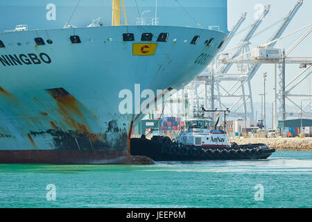 Das riesige COSCO Ningbo Containerschiff orientiert sich in Liegeplatz J270 am Pier J an AmNav Traktor Schlepper Unabhängigkeit am Long Beach Containerterminal. Stockfoto