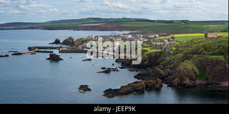 Die Fischerei Dorf von St. Abbs gesehen von der südlichen Seite des St. Abbs Head, Berwickshire, Schottland, UK Stockfoto