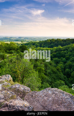 Sommerabend Blick über Ebbor Gorge National Nature Reserve in den Mendip Hills, Somerset, England. Stockfoto