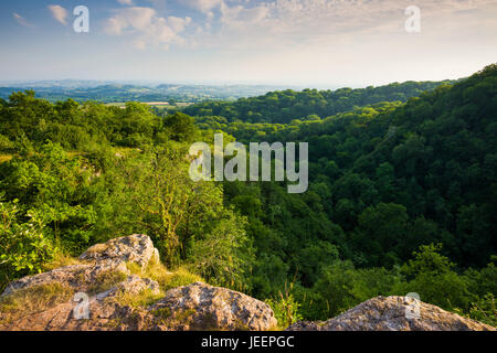 Sommerabend Blick über Ebbor Gorge National Nature Reserve in den Mendip Hills, Somerset, England. Stockfoto