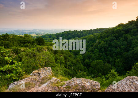 Sommerabend Blick über Ebbor Gorge National Nature Reserve in den Mendip Hills, Somerset, England. Stockfoto