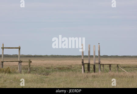 Dornweiler Dorf, Norfolk aus Thornham Marsh, Juni 2017 Stockfoto