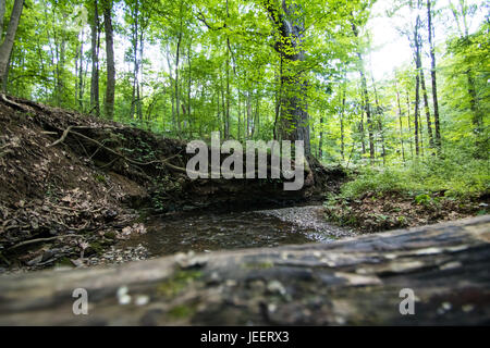 Bilder aus highbanks Metro Park, Columbus, OH Stockfoto