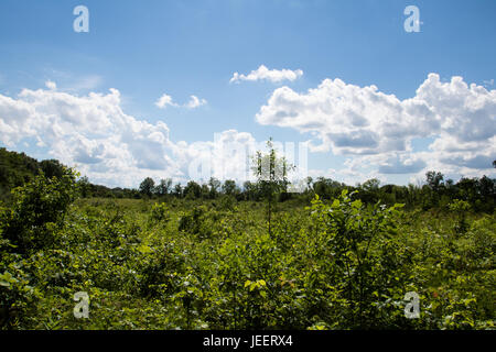 Bilder aus highbanks Metro Park, Columbus, OH Stockfoto