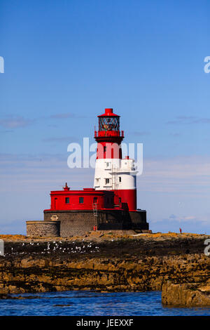 Longstone Leuchtturm.  Longstone Leuchtturm befindet sich auf der äußeren Farne Islands an der Northumberland Küste im Norden Englands. Stockfoto