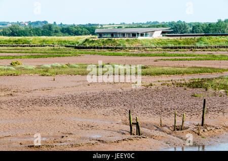 Der Norden Parrinder verstecken mit Blick auf freiwillige Marsh in RSPB Titchwell Marsh Vogelschutzgebiet an der North Norfolk-Küste. Stockfoto