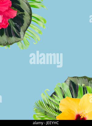 tropische Blüten und Blätter - frische Multicilored Hibiskus Blumen und exotische tropische Blätter Rahmen auf blau mit Textfreiraum Stockfoto