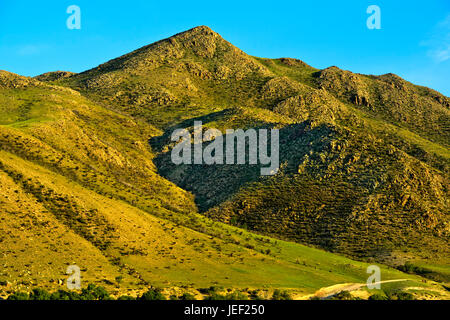 Grass bedeckt Hügelzug, Orchon-Tal, Mongolei Stockfoto