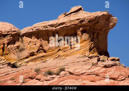 Zebra slot Canyon, Utah, USA Stockfoto