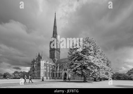 Salisbury Kathedrale, Wiltshire, England, UK Stockfoto