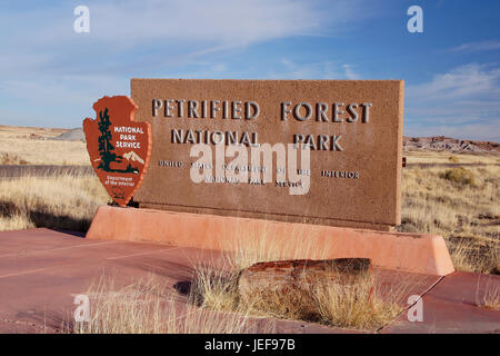 Petrified Forest in Arizona, versteinerte Baum Reste, Versteinerte Baumreste Stockfoto