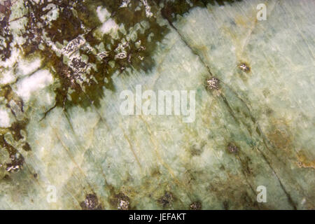 Detail der Mineral Jadeit aus Tibet Stockfoto