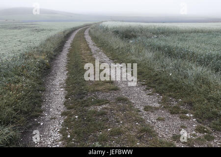 Eine Landstraße in fernen Dunst und Nebel verschwinden Stockfoto