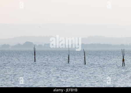 Holzstangen auf einen See und eine Möwe fliegen oben mit entfernten Hügeln im Hintergrund und sehr weichen Farben, meist weiß und hellblau Stockfoto