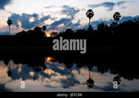 Reflexion von Zucker Palmen im tropischen Regenwald von Kambodscha bei Sonnenaufgang in den archäologischen Ruinen von Angkor Wat, Asien. Stockfoto