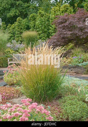 Silber Ohr Rasen, Stipa Calamagrostis, Förster Garten, Silberährengras (Stipa Calamagrostis), "Förster-Garten" Stockfoto