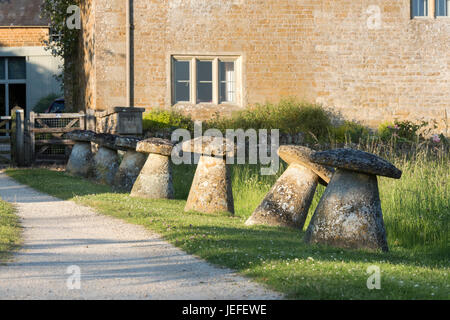 Staddle Steinen vor einem Haus in dem Dorf Wyck Rissington in den späten Abend Juni Sonnenschein. Cotswolds, Gloucestershire, England Stockfoto