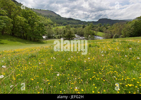 Die Stadt von Llangollen, Wales. Malerische Aussicht von Thomas Telford entworfen Horseshoe Falls auf dem Fluss Dee. Stockfoto