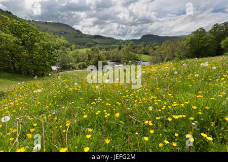 Die Stadt von Llangollen, Wales. Malerische Aussicht von Thomas Telford entworfen Horseshoe Falls auf dem Fluss Dee. Stockfoto