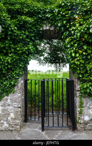 Ein küssen Tor in einem Feld bei Neale, einem kleinen Dorf im Süden des County Mayo, Irland Stockfoto